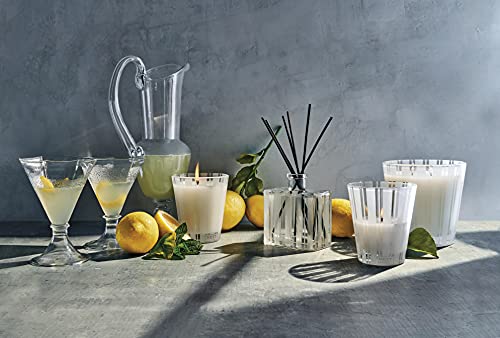 Home Fragrances Amalfi Lemon & Mint Scented 3-Wick Candle