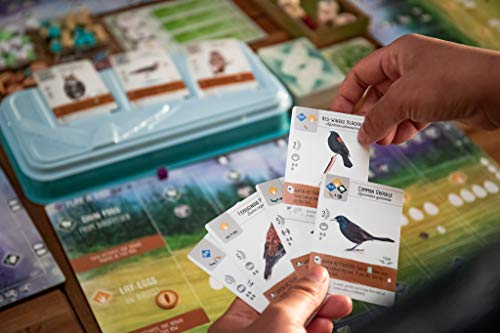 Collection d'oiseaux de jeu de société