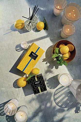 Home Fragrances Amalfi Lemon & Mint Scented 3-Wick Candle