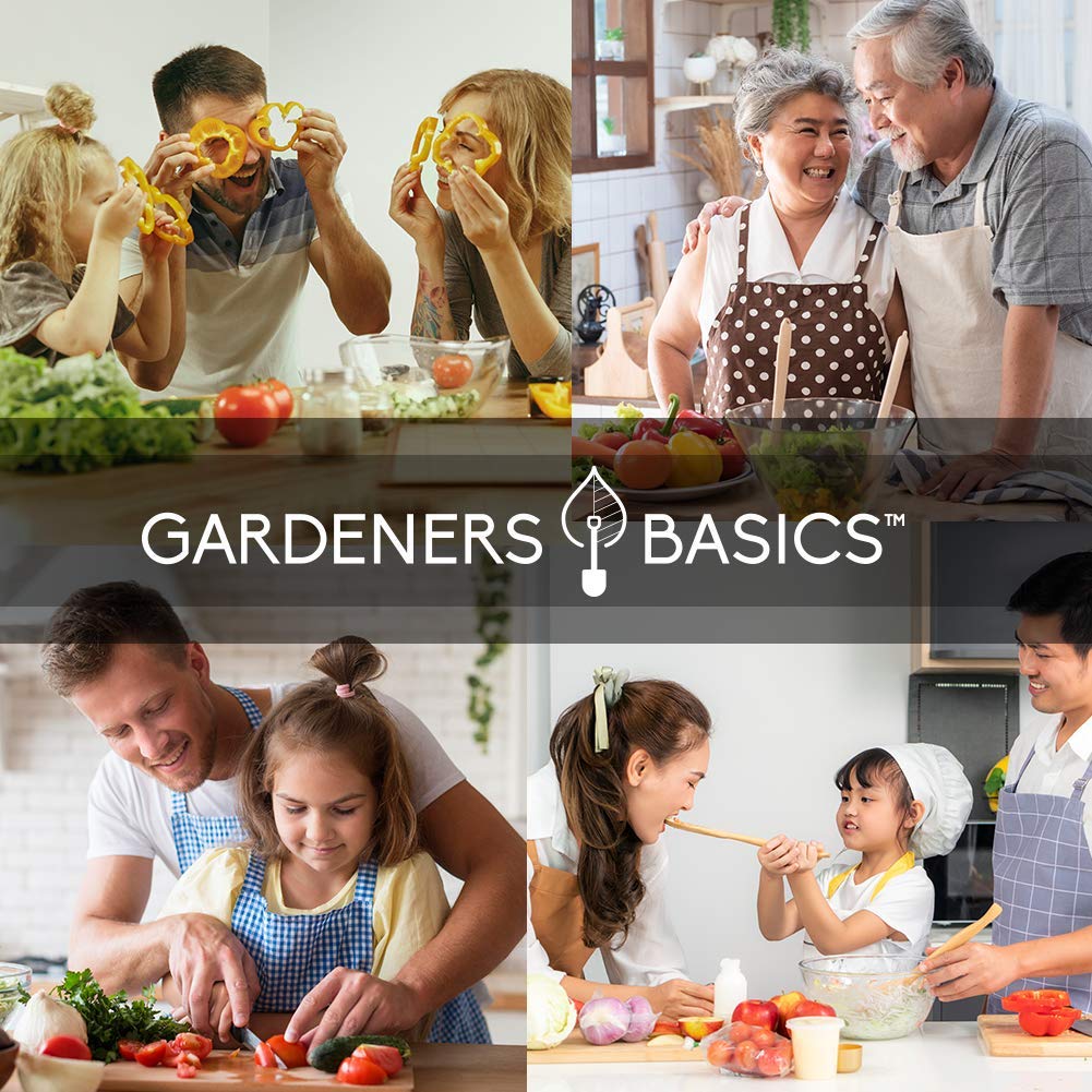 Kit de jardinage de graines de légumes de survie sans OGM