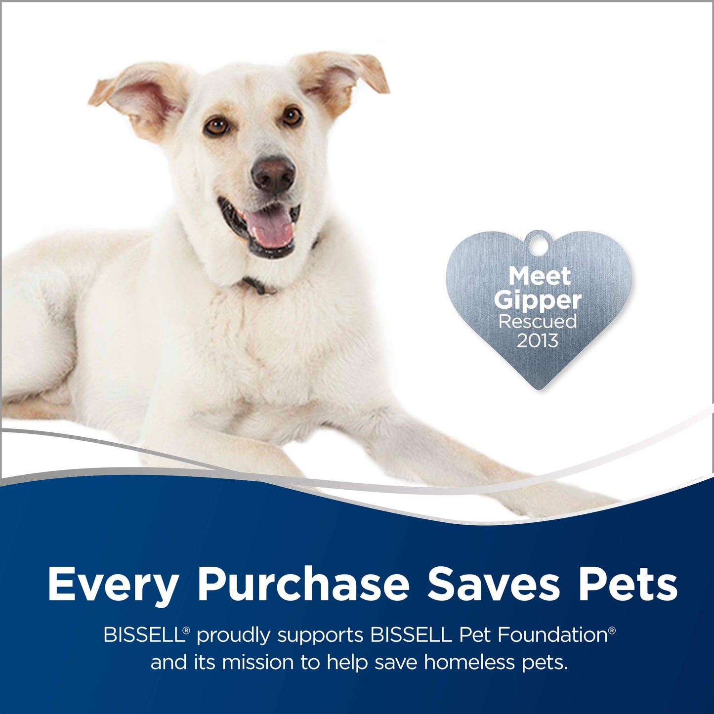 Vacuum Stick Lightweight Bagless