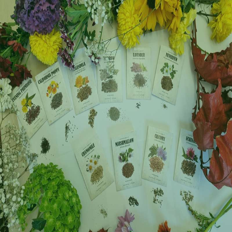 Review of the Medicinal Garden Kit Created by herbalist and biologist Nicole Apelian