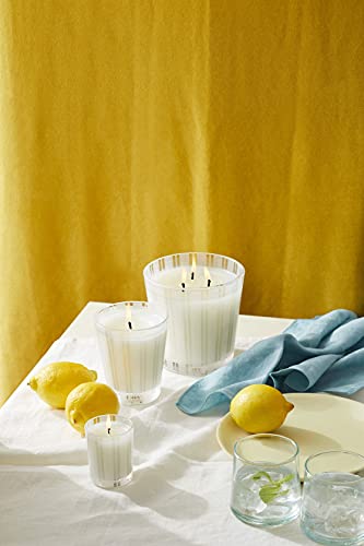 Home Fragrances Amalfi Lemon & Mint Scented 3-Wick Candle